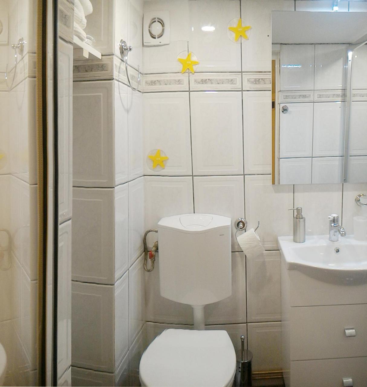 Republicii Rustic Apartament In Brasov City Center Buitenkant foto